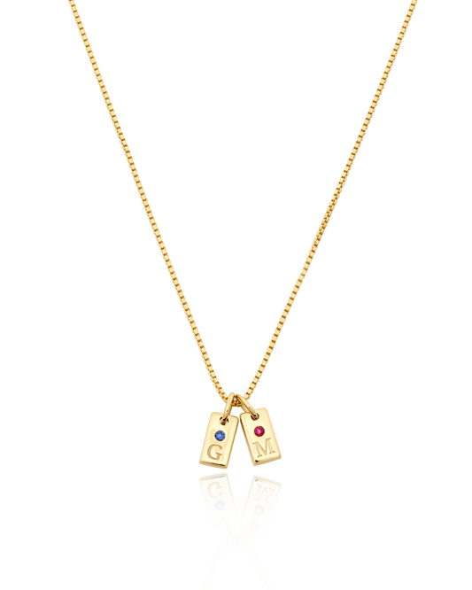 Initial Mini Dogtag Necklace w/Birthstones - 18K Gold Vermeil Necklaces magal-dev 1 Tag 16"