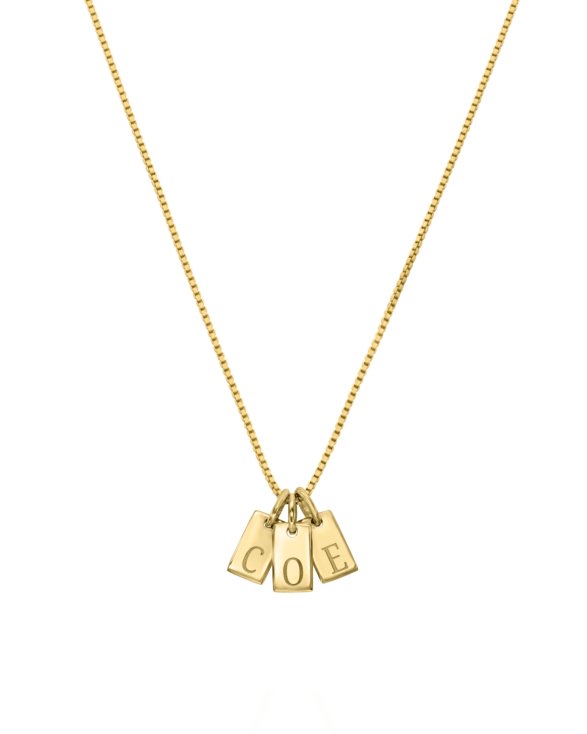 Initial Mini Dogtag Necklace - 18K Gold Vermeil Necklaces Gold Vermeil 1 Tag 16"