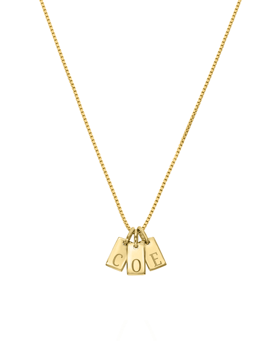Initial Mini Dogtag Necklace - 18K Gold Vermeil Necklaces Gold Vermeil 1 Tag 16"