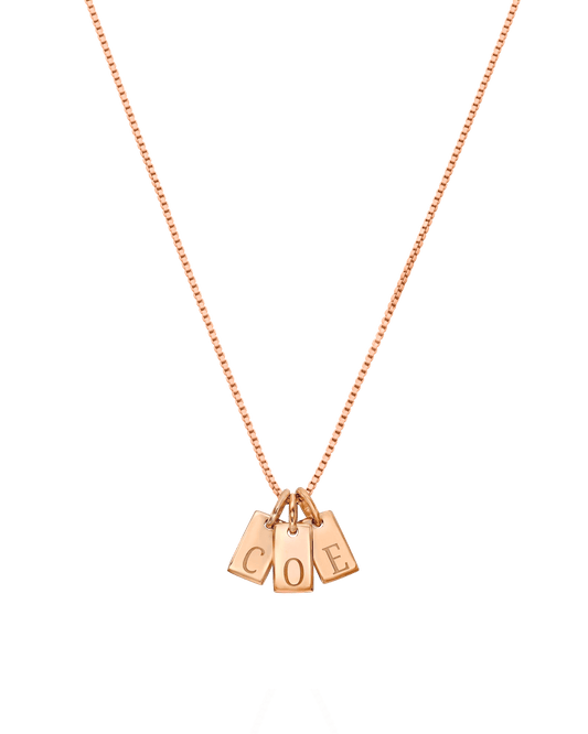 Initial Mini Dogtag Necklace - 18K Rose Vermeil Necklaces Gold Vermeil 1 Tag 16''