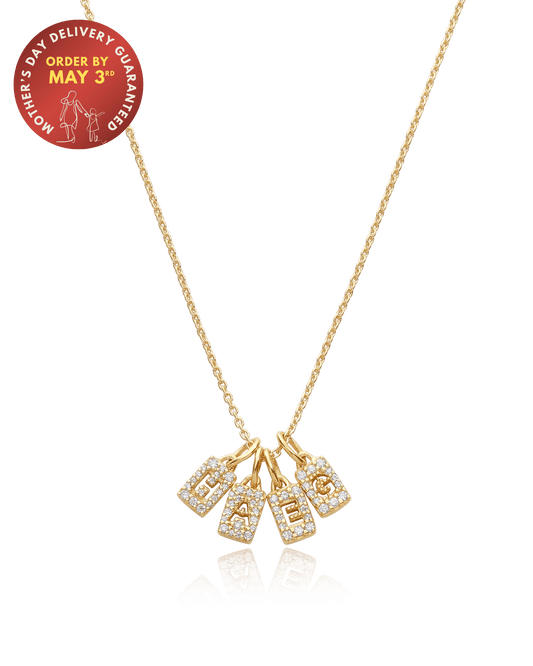 The Stardust Initial Tag Necklace - 18K Gold Vermeil Necklaces magal-dev 