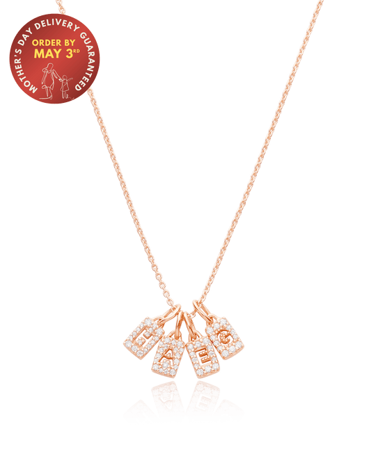 The Stardust Initial Tag Necklace - 18K Rose Vermeil Necklaces magal-dev 