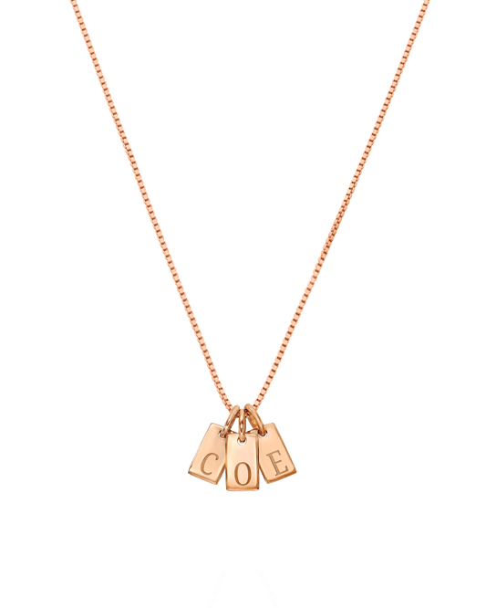 Initial Mini Dogtag Necklace - 18K Rose Vermeil Necklaces Gold Vermeil 1 Tag 16'' 